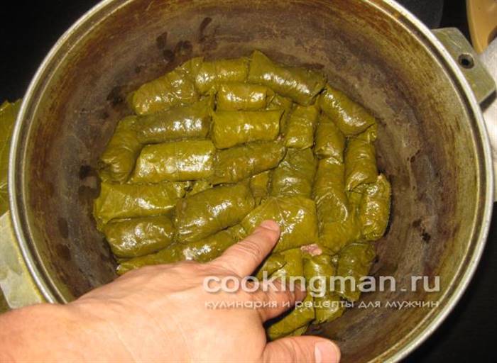 рецепт долми